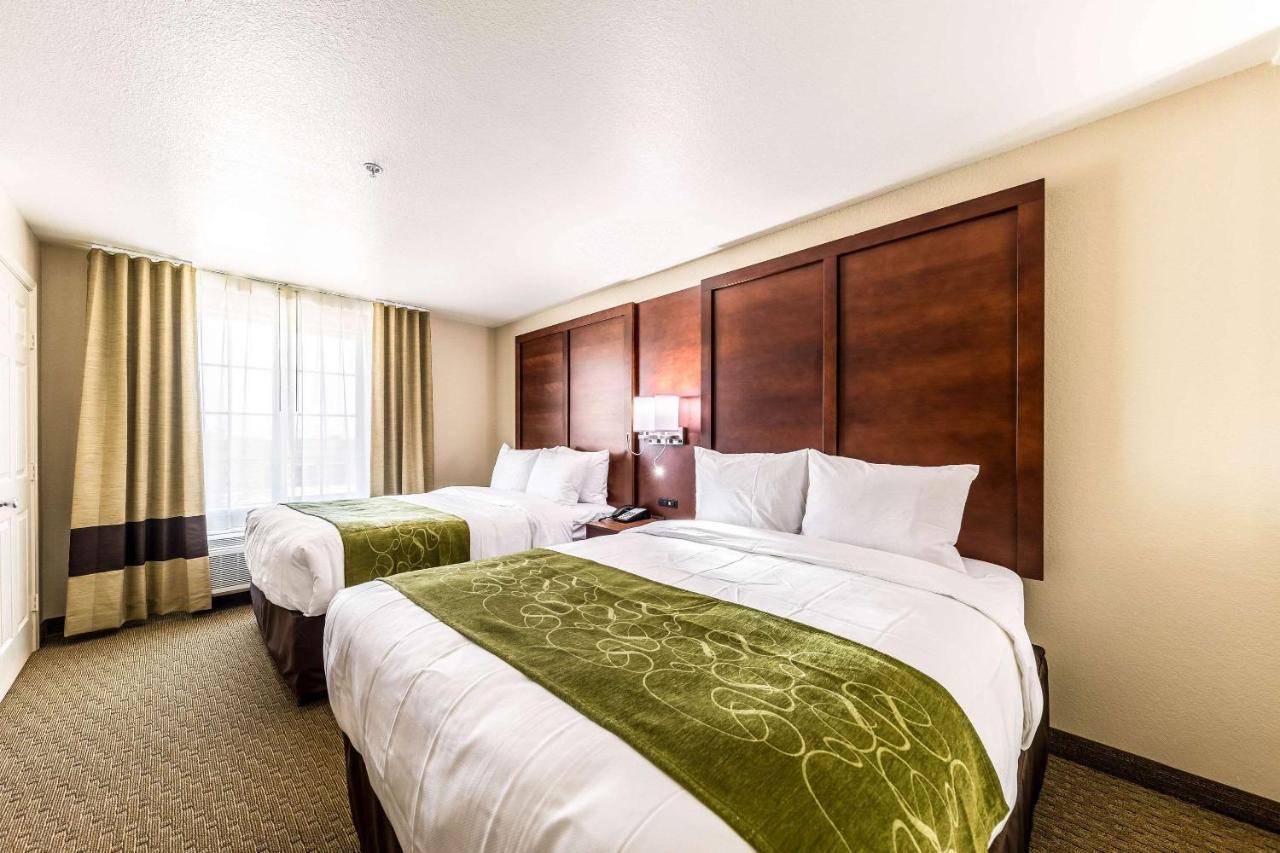 Comfort Suites Grand Prairie - Arlington North Eksteriør bilde